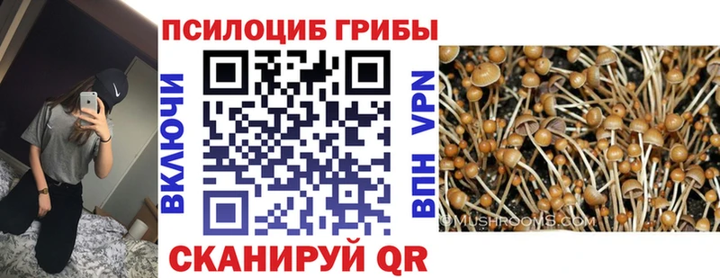 кракен ONION  Озёры  Псилоцибиновые грибы GOLDEN TEACHER  наркотики 